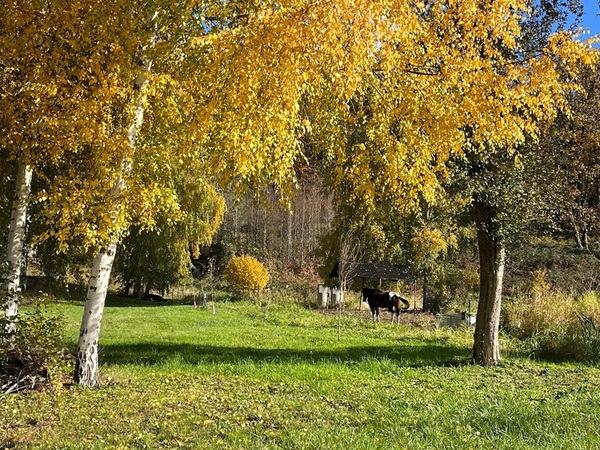 Samm Valley Event Venue