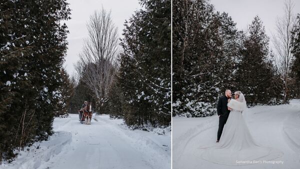 Stanleys Olde Maple Lane Farm