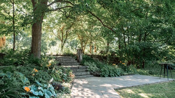Stanleys Olde Maple Lane Farm