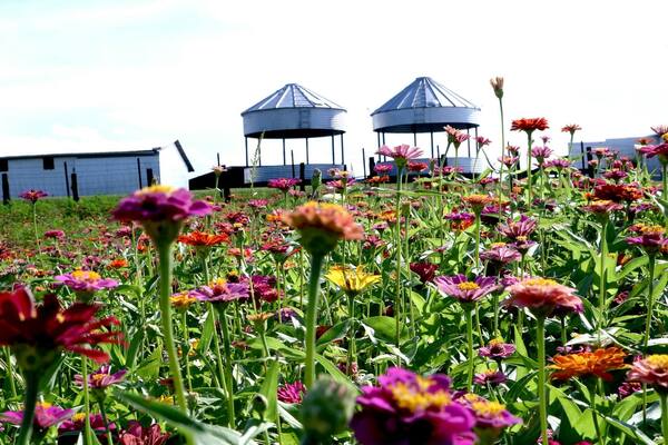 Generations Barn & Bins