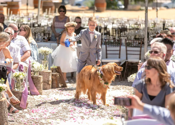 Iron Horse Unlimited