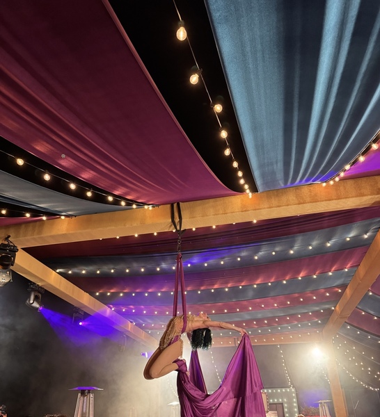 Scarlett Divine Entertainment