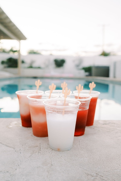 Frosty Cactus Margarita Machine Rentals