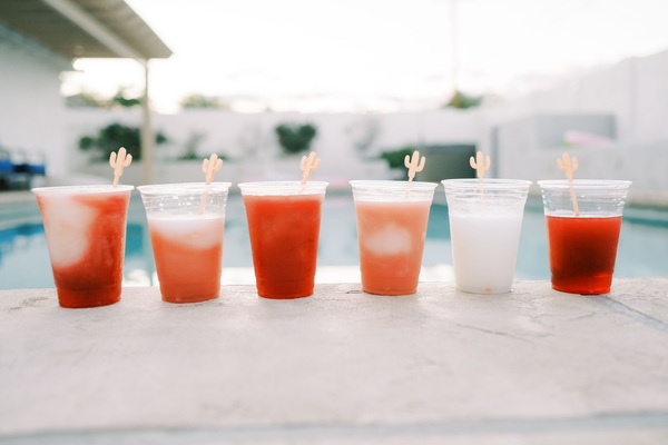 Frosty Cactus Margarita Machine Rentals