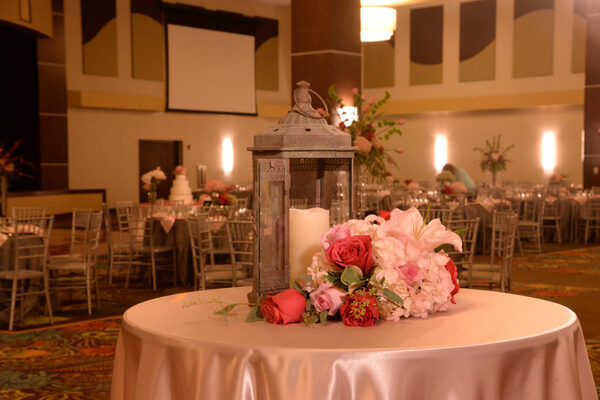 Oasis Hotel and Convention Center