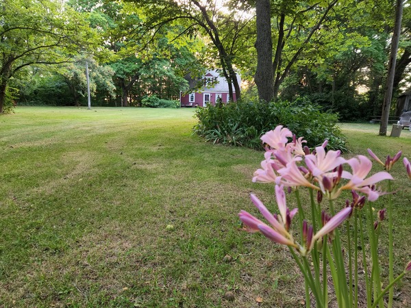 Cambre House and Farm