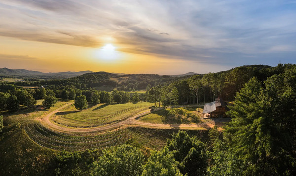 Living Water Winery & Vineyard