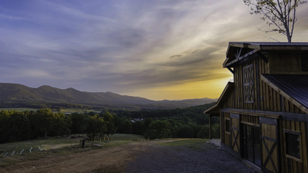 Living Water Winery & Vineyard