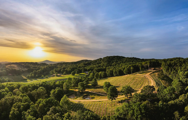 Living Water Winery & Vineyard