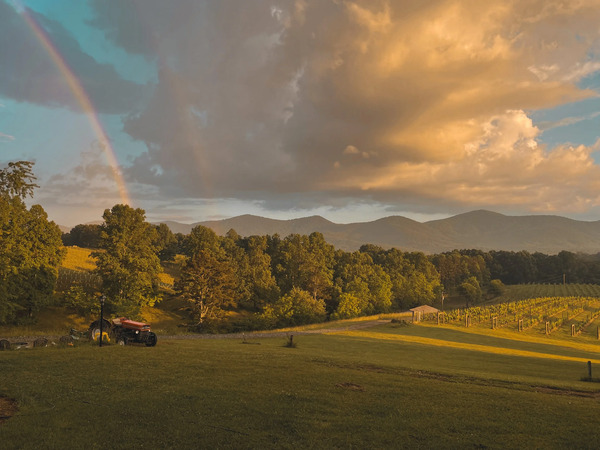 Living Water Winery & Vineyard