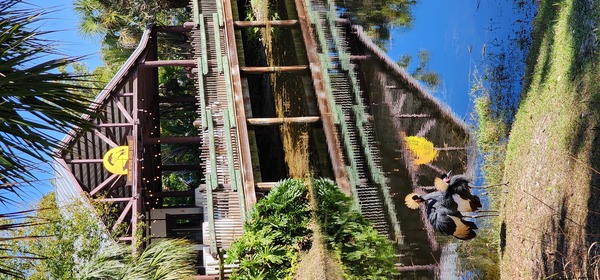 Nyami Nyami River Lodge at The Brevard Zoo