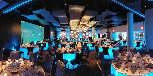 Adventure Aquarium Events & Catering