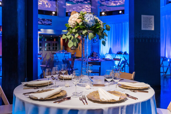 Adventure Aquarium Events & Catering