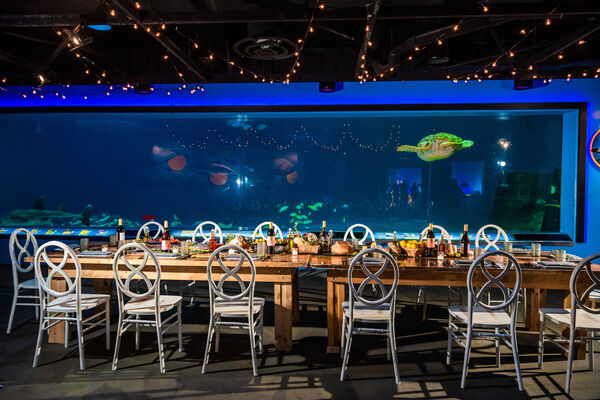 Adventure Aquarium Events & Catering