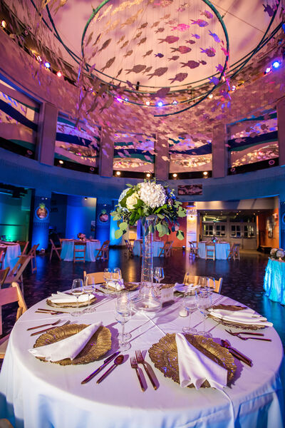 Adventure Aquarium Events & Catering