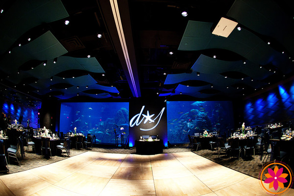 Adventure Aquarium Events & Catering