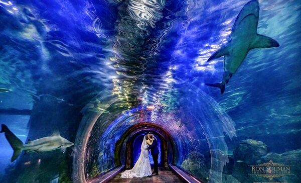 Adventure Aquarium Events & Catering