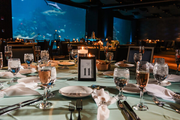 Adventure Aquarium Events & Catering
