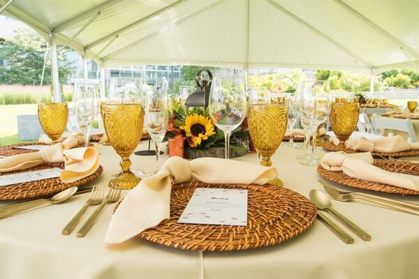 University of Massachusetts Amherst