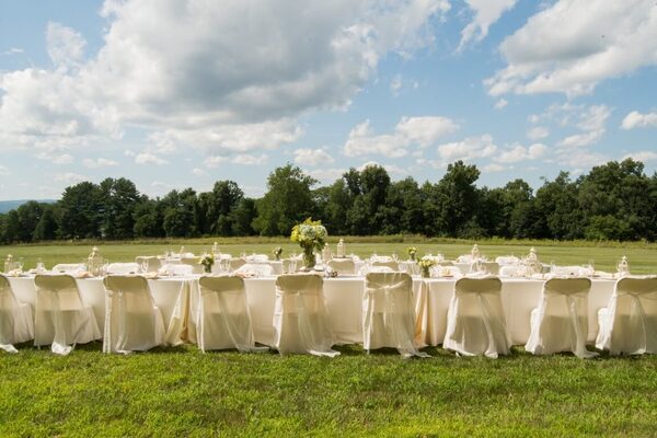 University of Massachusetts Amherst