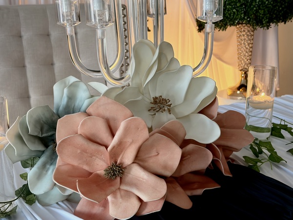 The Venus at Manchester