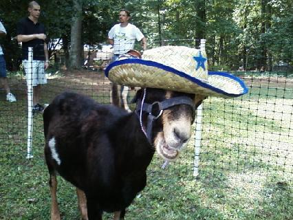 Terrell Farm & Events