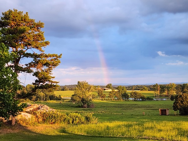 Terrell Farm & Events