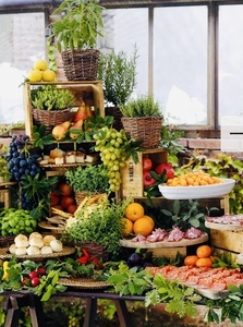 Terrazza Catering & Events