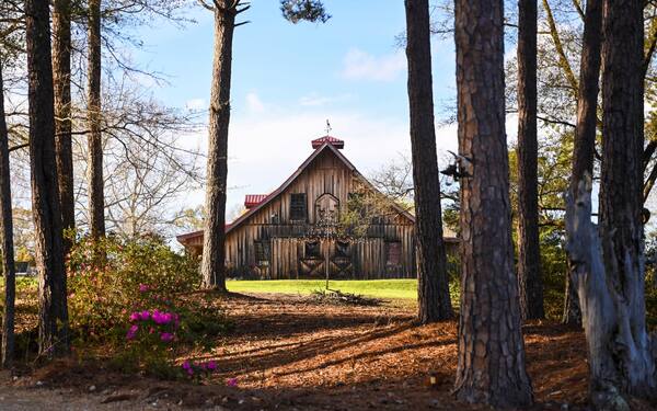 The Oaks At Mount Carmel