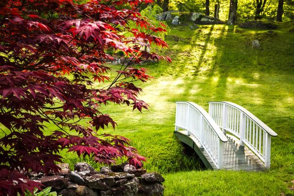 Rosewood Country Inn Bed and Breakfast