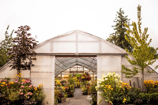 Pine Creek Farms & Nursery