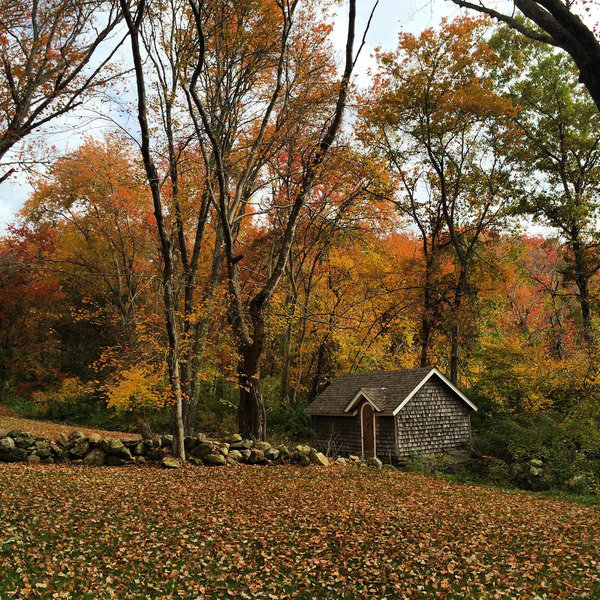 The Charlestown Rathskeller