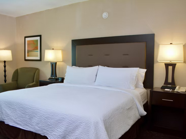 Holiday Inn- Mount Olive