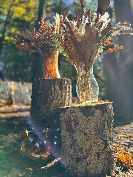 Ganaraska Forest Centre