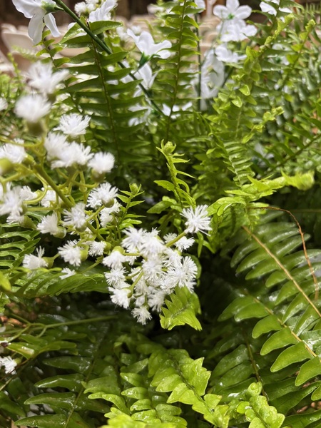 Ganaraska Forest Centre