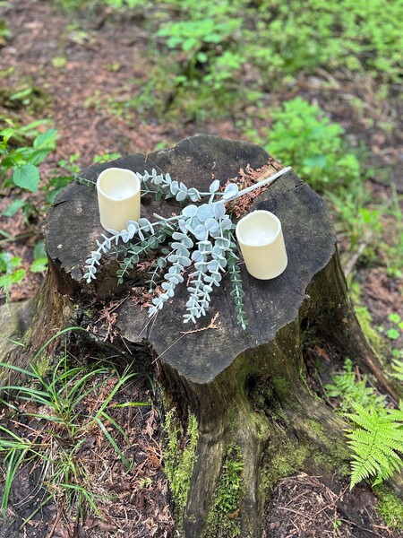 Ganaraska Forest Centre