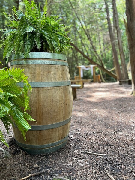 Ganaraska Forest Centre