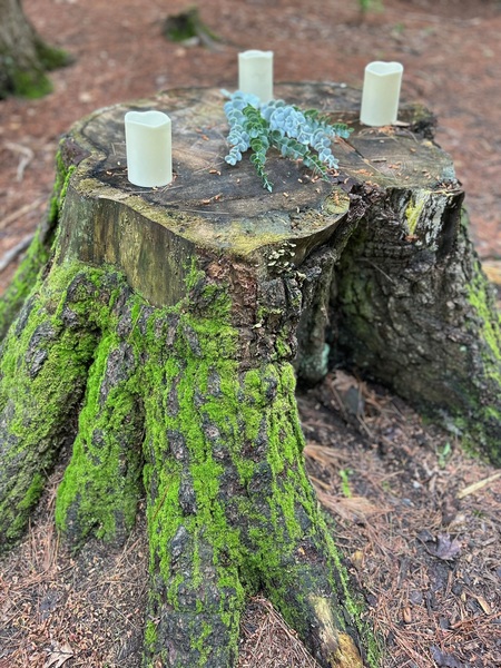 Ganaraska Forest Centre