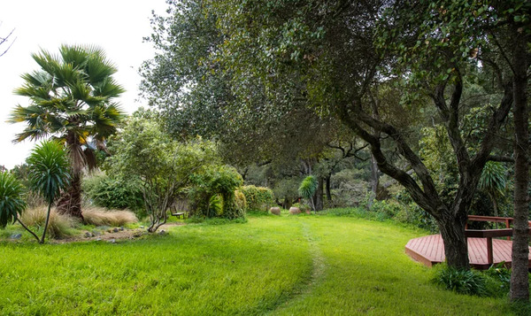 Green Oaks Creek Farm