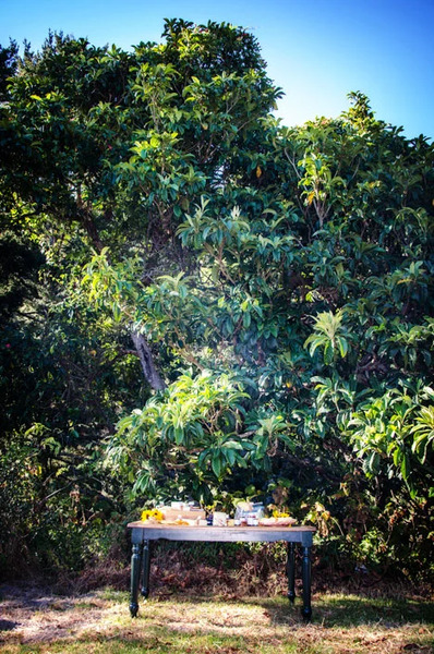 Green Oaks Creek Farm