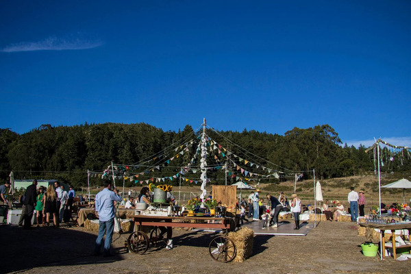 Green Oaks Creek Farm