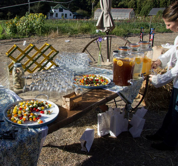 Green Oaks Creek Farm