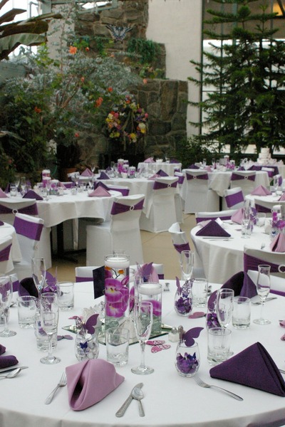 Magic Wings Butterfly Conservatory