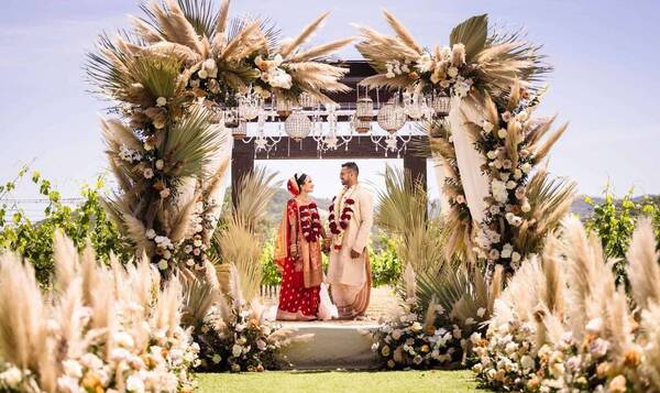 The MOHI by Appellation