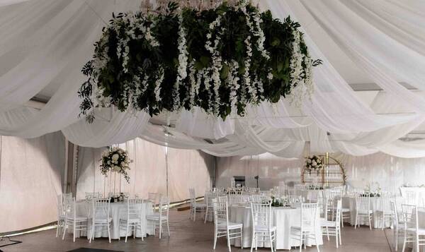 The MOHI by Appellation