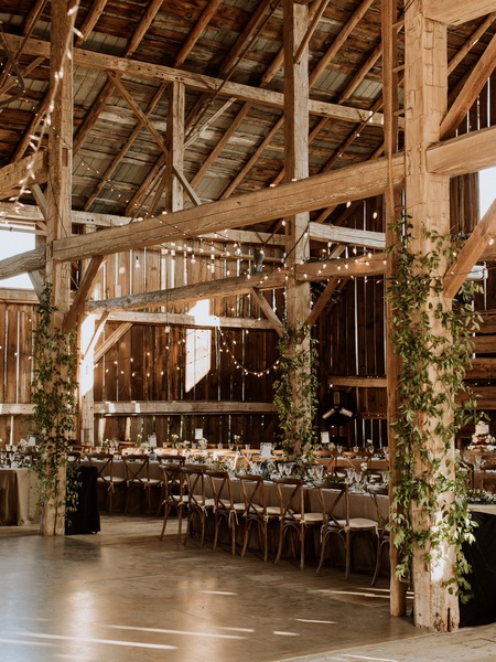 Cambium Farms