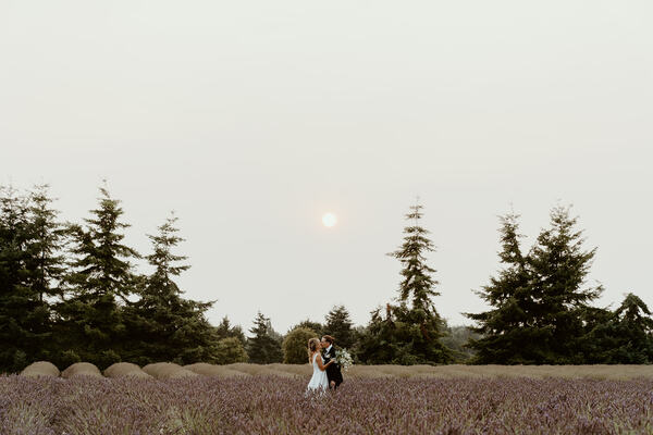 Flatiron Fields