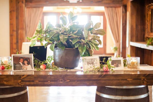 The Vista Ranch and Cellars