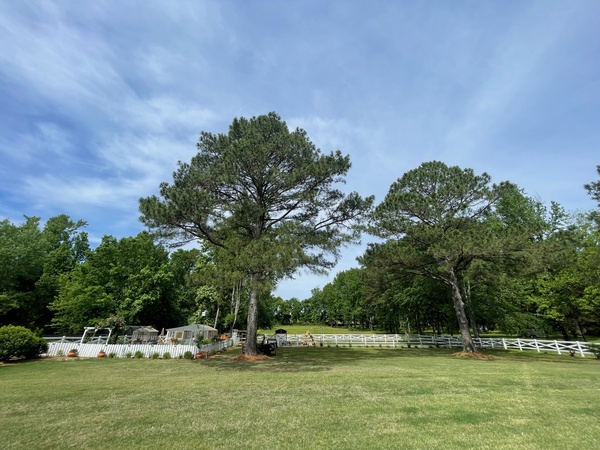 Event Venue