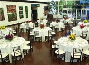 Botanicals Design Studio